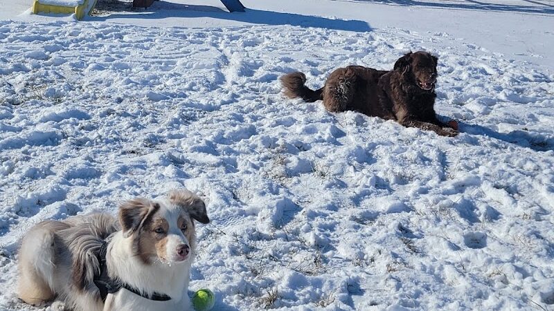 Wabash Dawg Park - Wabash, IN