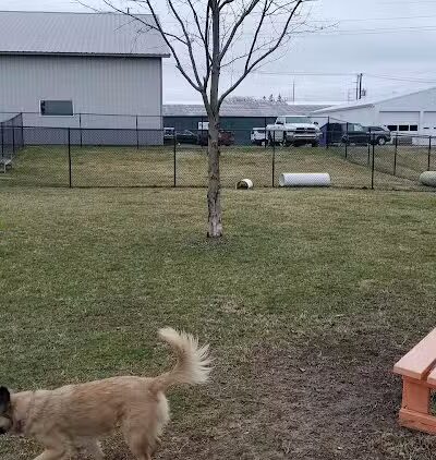 Wabash Dawg Park - Wabash, IN