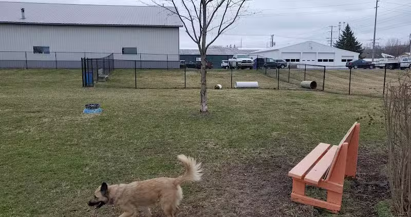 Wabash Dawg Park - Wabash, IN