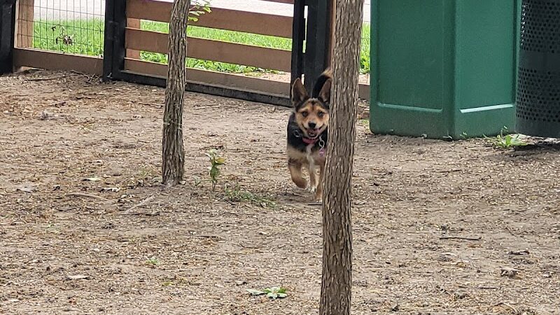 Holly Dog Park - Waco, TX