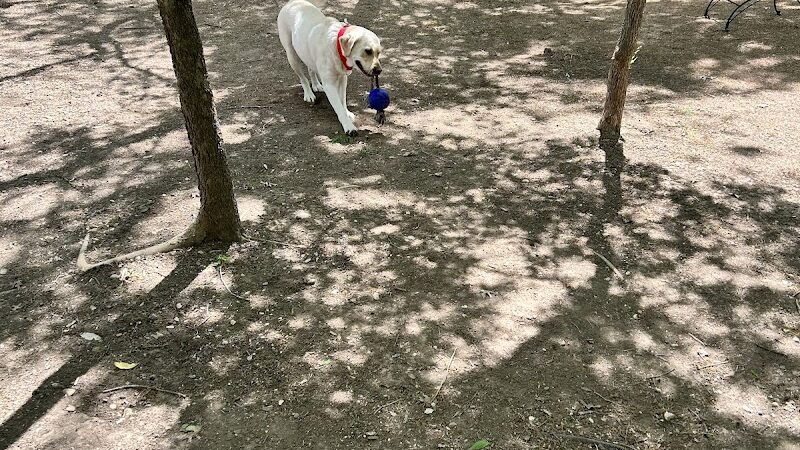 Holly Dog Park - Waco, TX