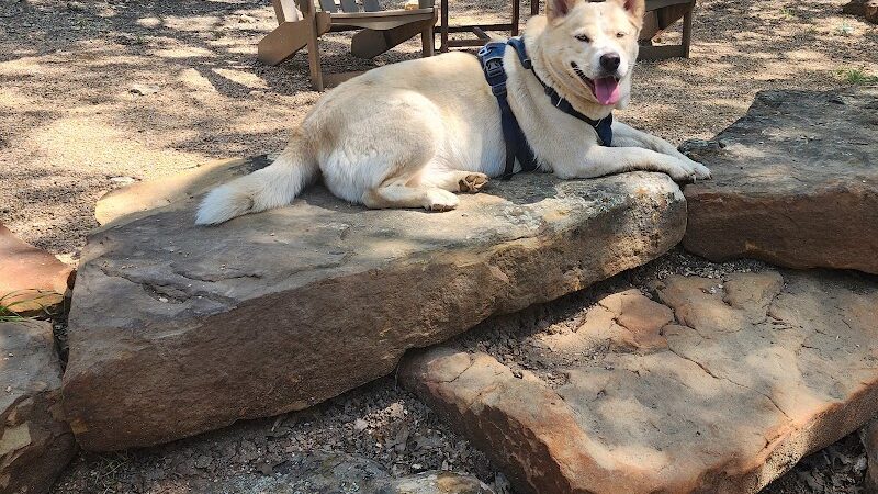 Holly Dog Park - Waco, TX