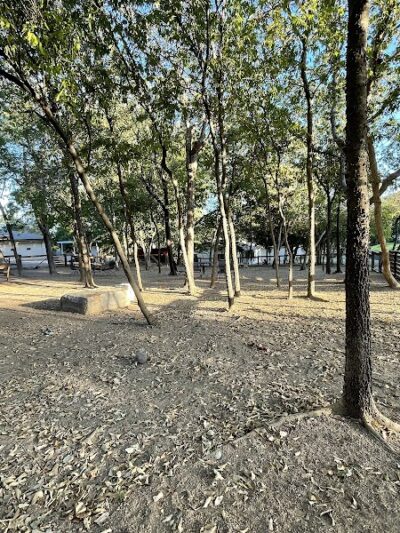 Holly Dog Park - Waco, TX