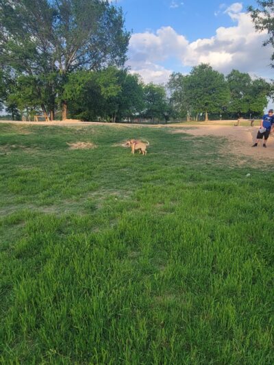 HOT Dog Park - Waco, TX