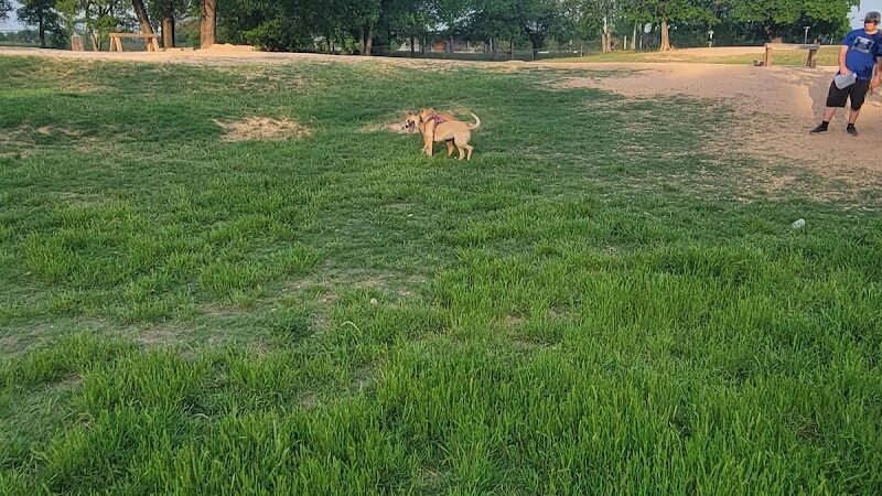 HOT Dog Park - Waco, TX
