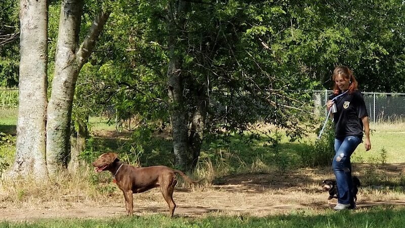 HOT Dog Park - Waco, TX