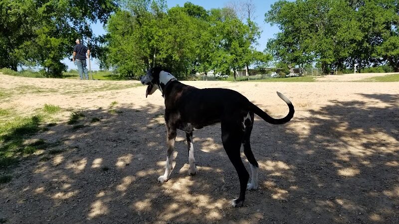 HOT Dog Park - Waco, TX