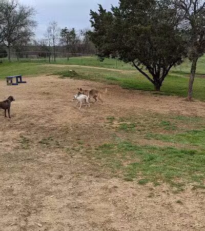 HOT Dog Park - Waco, TX