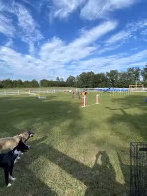 Paws Pack Dog Training & Sports LLC - Wagener, SC