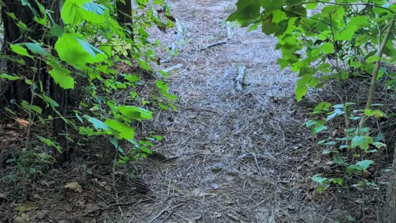 Horseshoe Farm Nature Preserve - Wake Forest, NC