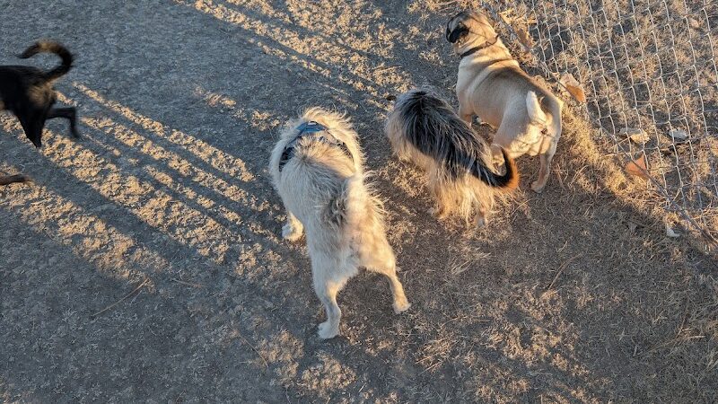 WaKeeney Dog Park - WaKeeney, KS