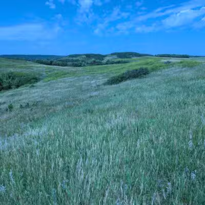Pembina Gorge State Recreation Area - Walhalla, ND