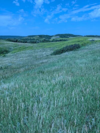 Pembina Gorge State Recreation Area - Walhalla, ND
