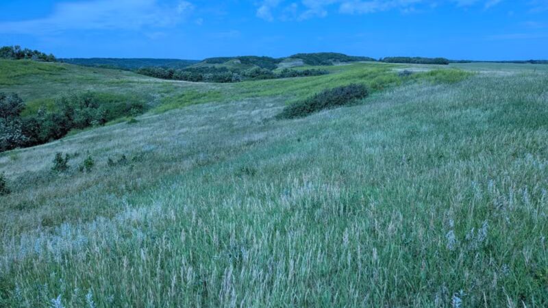 Pembina Gorge State Recreation Area - Walhalla, ND