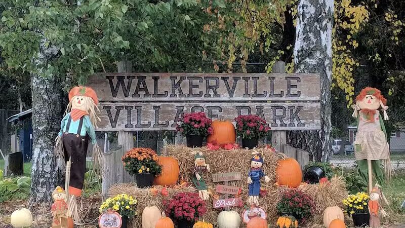 Walkerville Village Park - Walkerville,