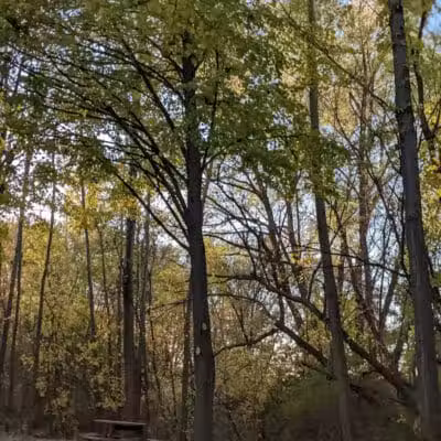 Riley Park - Walled Lake, MI