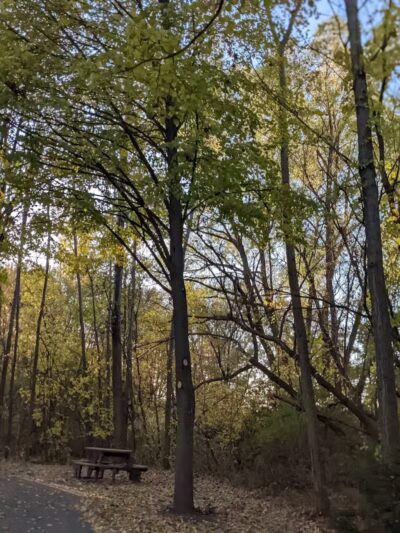 Riley Park - Walled Lake, MI