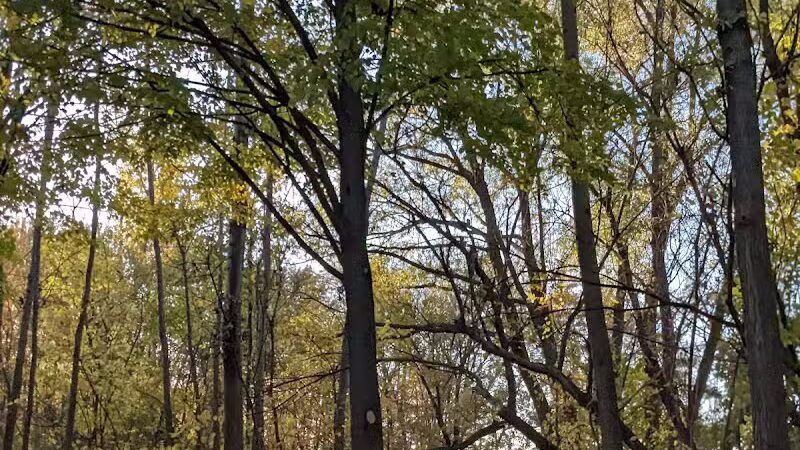 Riley Park - Walled Lake, MI