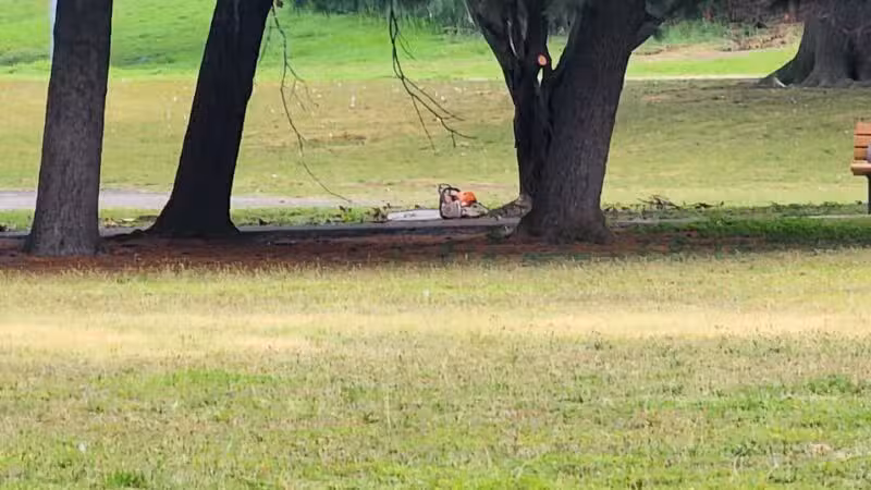 Samuel Nelkin County Park - Wallington, NJ