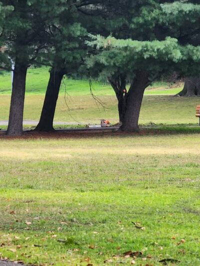 Samuel Nelkin County Park - Wallington, NJ