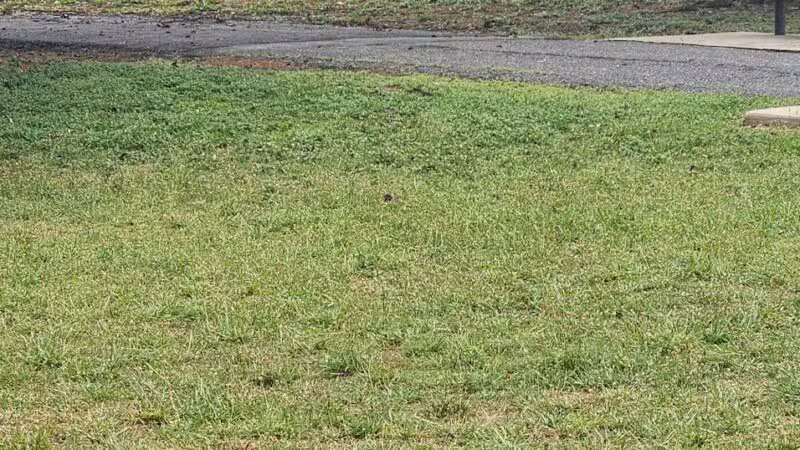 Samuel Nelkin County Park - Wallington, NJ