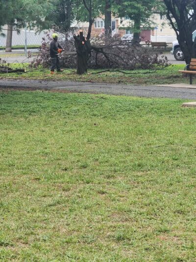 Samuel Nelkin County Park - Wallington, NJ