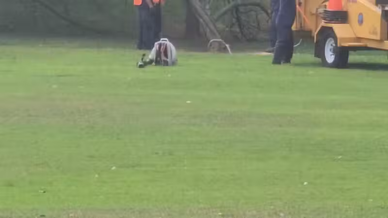 Samuel Nelkin County Park - Wallington, NJ