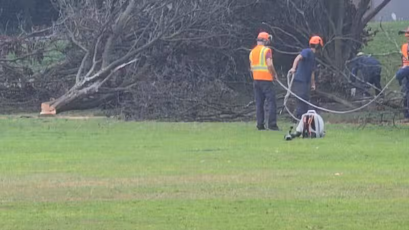 Samuel Nelkin County Park - Wallington, NJ