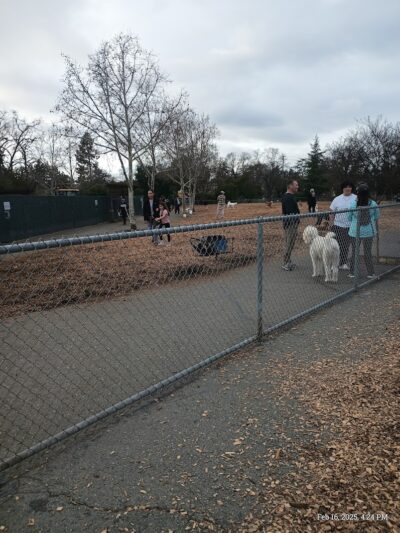 Heather Farm Dog Park - Walnut Creek, CA