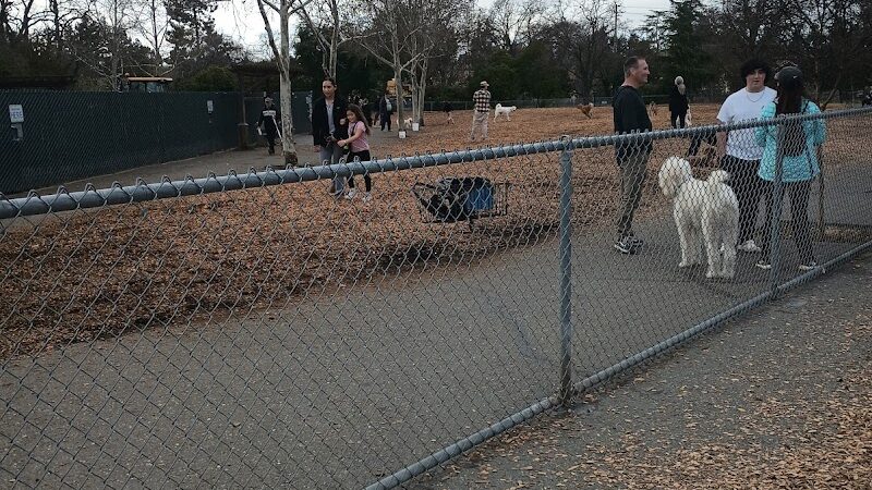Heather Farm Dog Park - Walnut Creek, CA