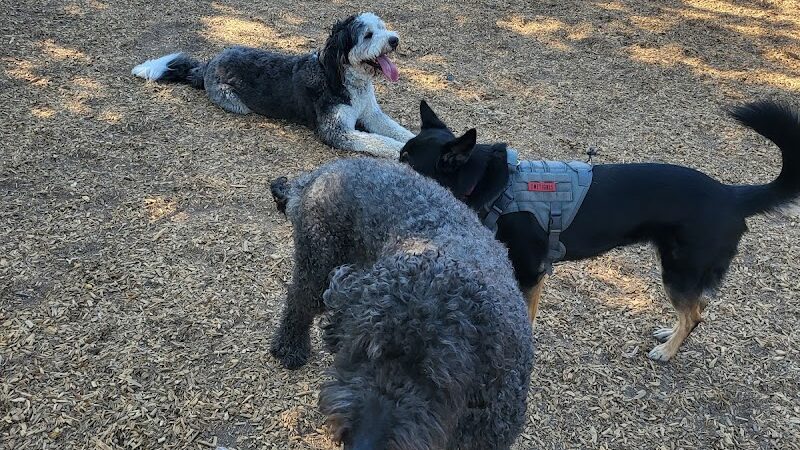 Heather Farm Dog Park - Walnut Creek, CA