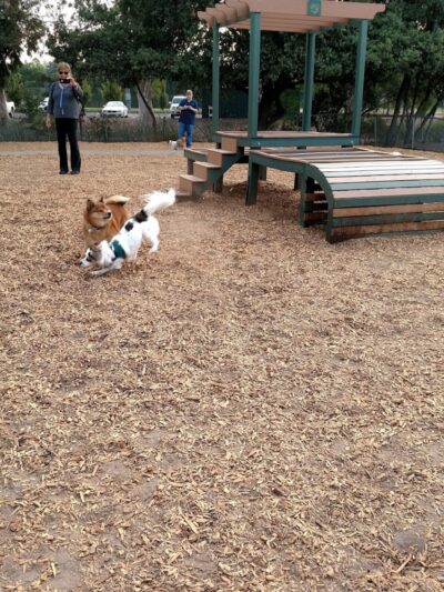 Heather Farm Dog Park - Walnut Creek, CA