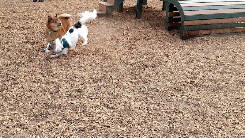 Heather Farm Dog Park - Walnut Creek, CA