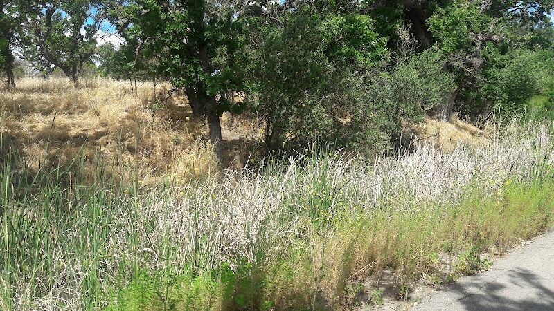 Heather Farm Dog Park - Walnut Creek, CA