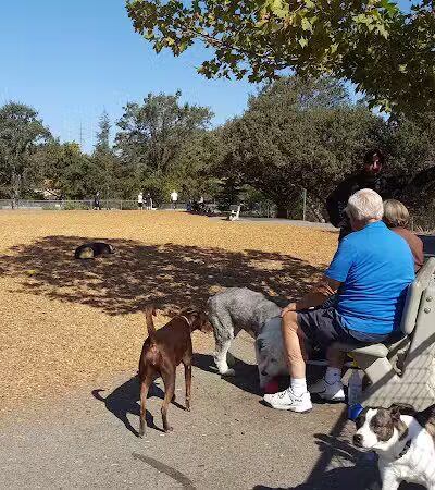 Heather Farm Dog Park - Walnut Creek, CA