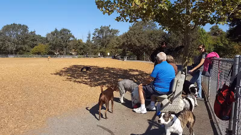Heather Farm Dog Park - Walnut Creek, CA
