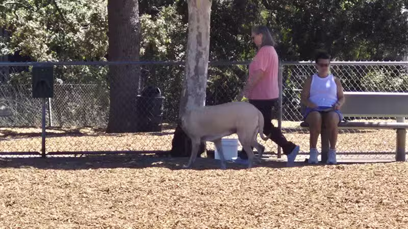 Heather Farm Dog Park - Walnut Creek, CA