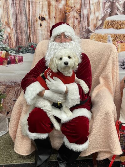 DogPerfect Canine Emporium LLC - Walpole, MA