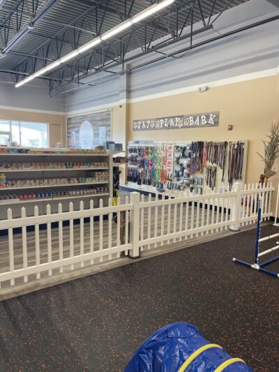 DogPerfect Canine Emporium LLC - Walpole, MA