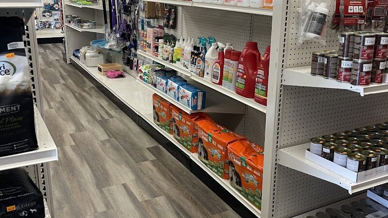 DogPerfect Canine Emporium LLC - Walpole, MA