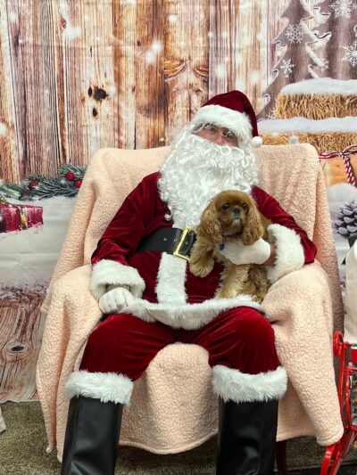 DogPerfect Canine Emporium LLC - Walpole, MA