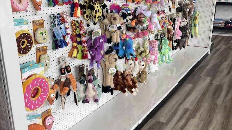 DogPerfect Canine Emporium LLC - Walpole, MA