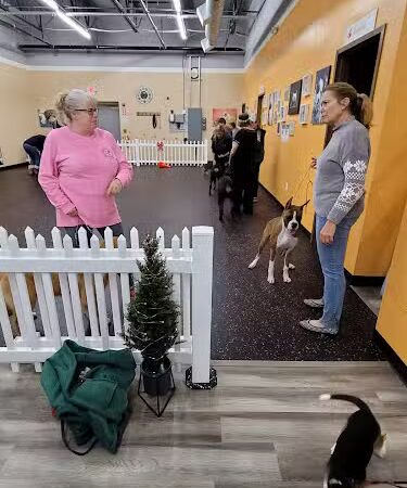 DogPerfect Canine Emporium LLC - Walpole, MA