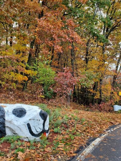 Endean Trail - Walpole, MA