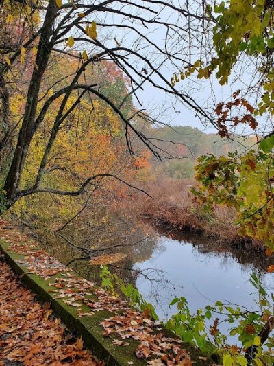 Endean Trail - Walpole, MA