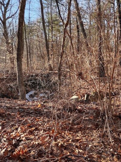 Endean Trail - Walpole, MA