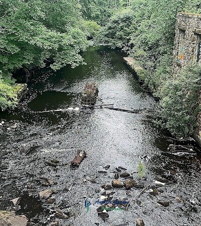 Endean Trail - Walpole, MA