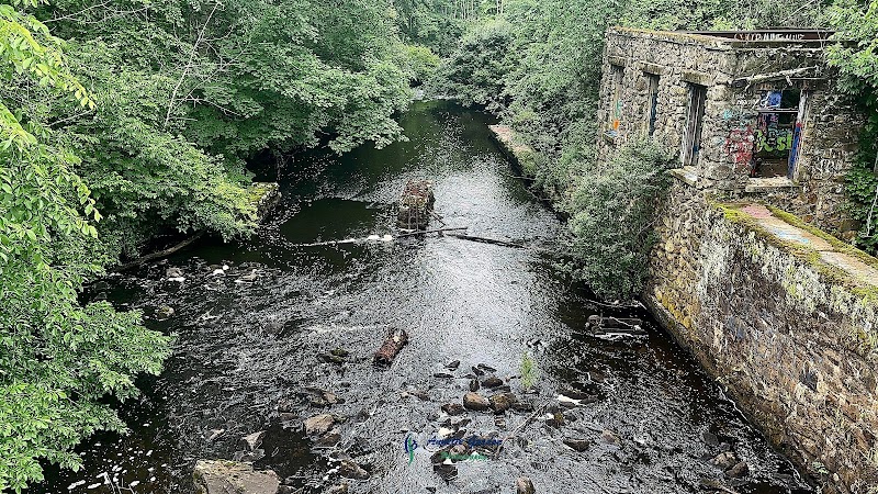 Endean Trail - Walpole, MA