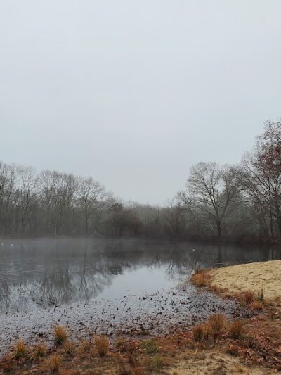 Jarvis Farm - Walpole, MA