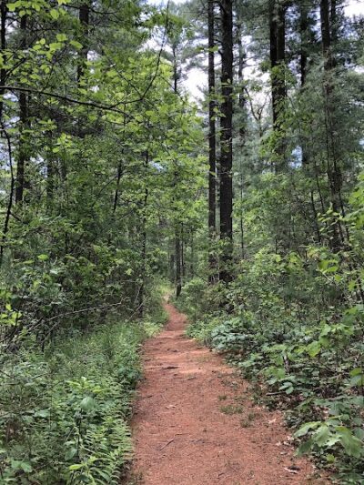 Jarvis Farm - Walpole, MA